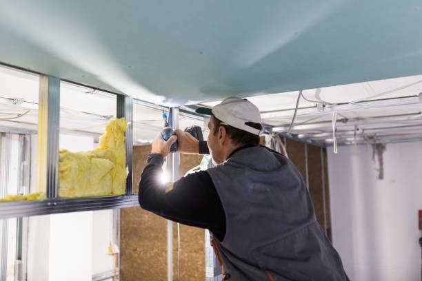 Best Commercial Insulation in Hollywood, SC
