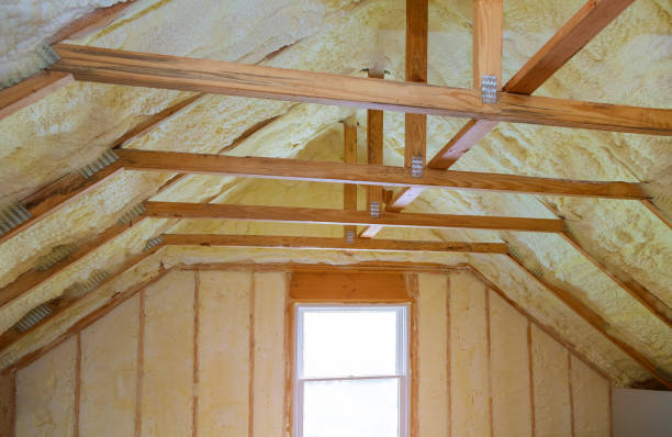 Best Types of Insulation in Hollywood, SC