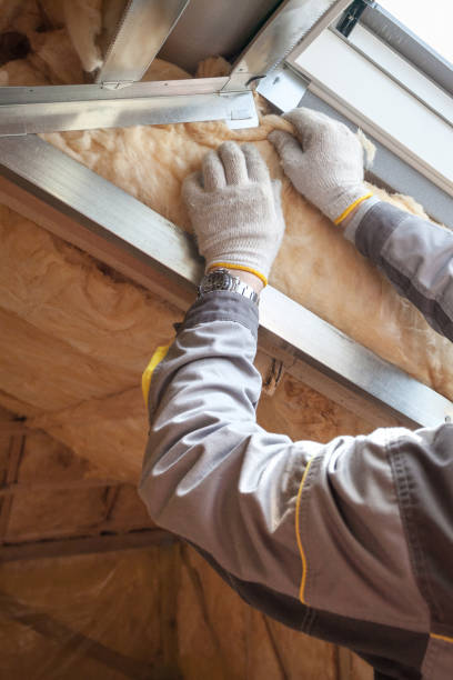Best Insulation Maintenance and Repair in Hollywood, SC
